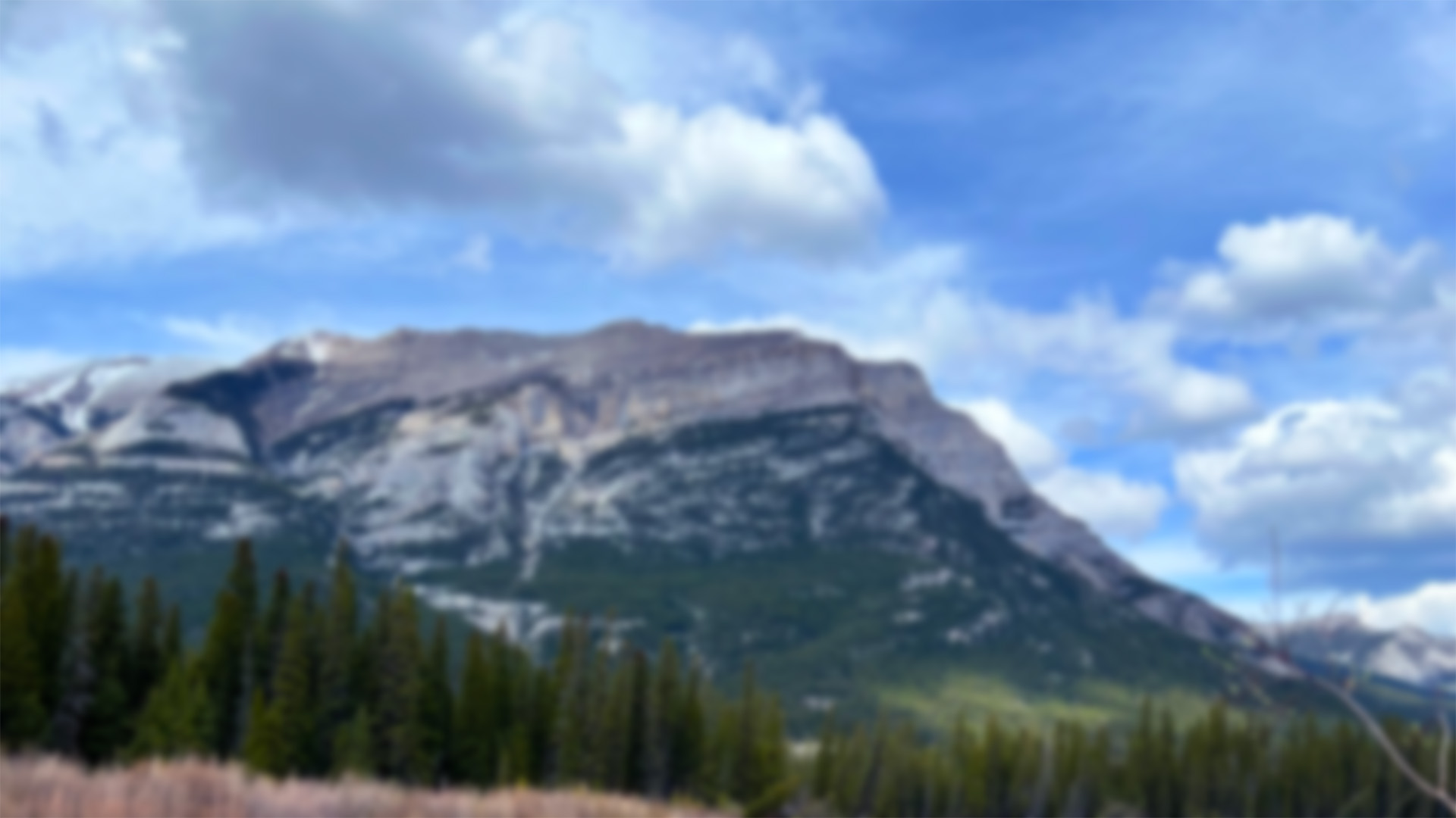 CANADA INFOGRAPHICS PREVIEW GIF